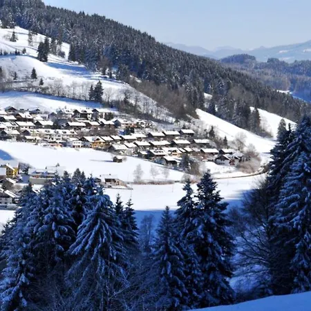 Tatil Evi Haushaelfte-alpenrose *